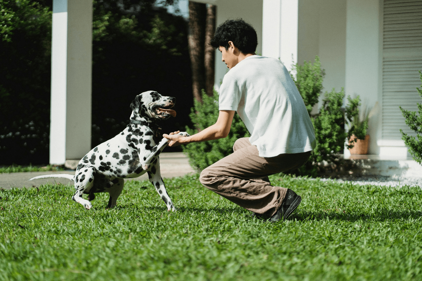 Person in a well-maintained ground with his pet