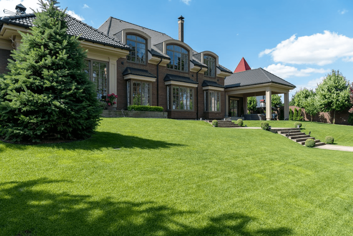 A green front lawn