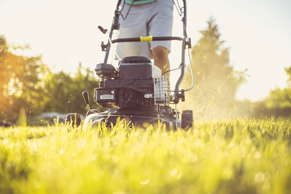 Lawn care professionals trimming and mowing a residential property.