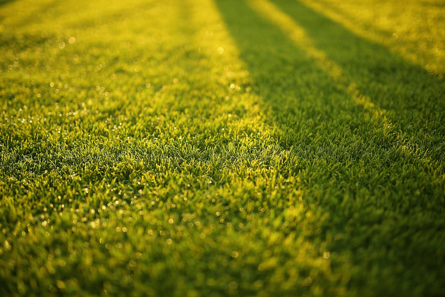 Quick fixes for brown patches that restore your yard’s beauty fast. Contact Cut & Trim now