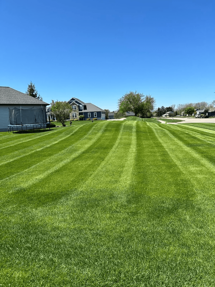 Ditch the harsh products and let your yard breathe, call Cut & Trim now