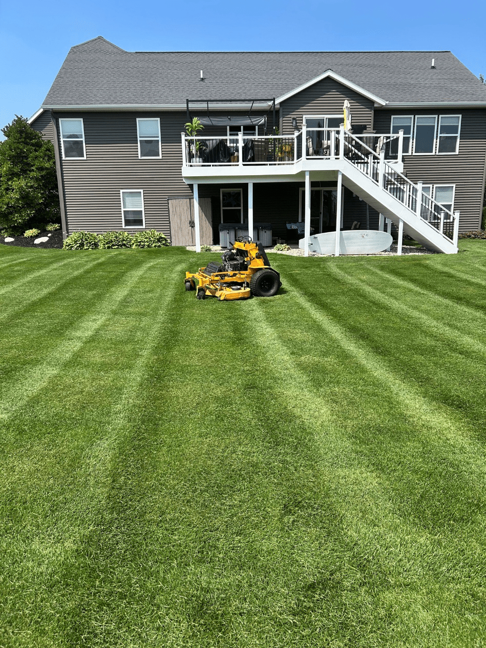 Winter hits hard, but your lawn can bounce back, contact Cut & Trim today