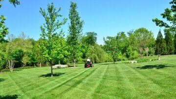 Premier Lawn Care in Wyoming, MI: Top Lawn Care Companies Reviewed
