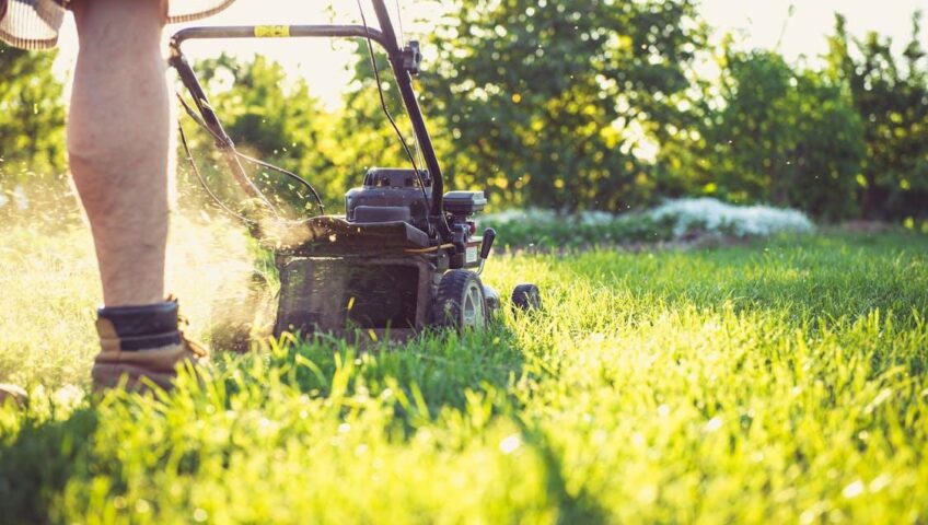 Outsourcing yard work ensures a healthy, well-maintained lawn without the stress of DIY care.