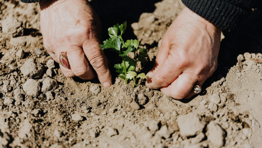 Say goodbye to compacted soil and hello to stronger grass. Trust Cut & Trim now