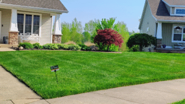 : If your lawn looks tired, it’s time for help, contact Cut & Trim now