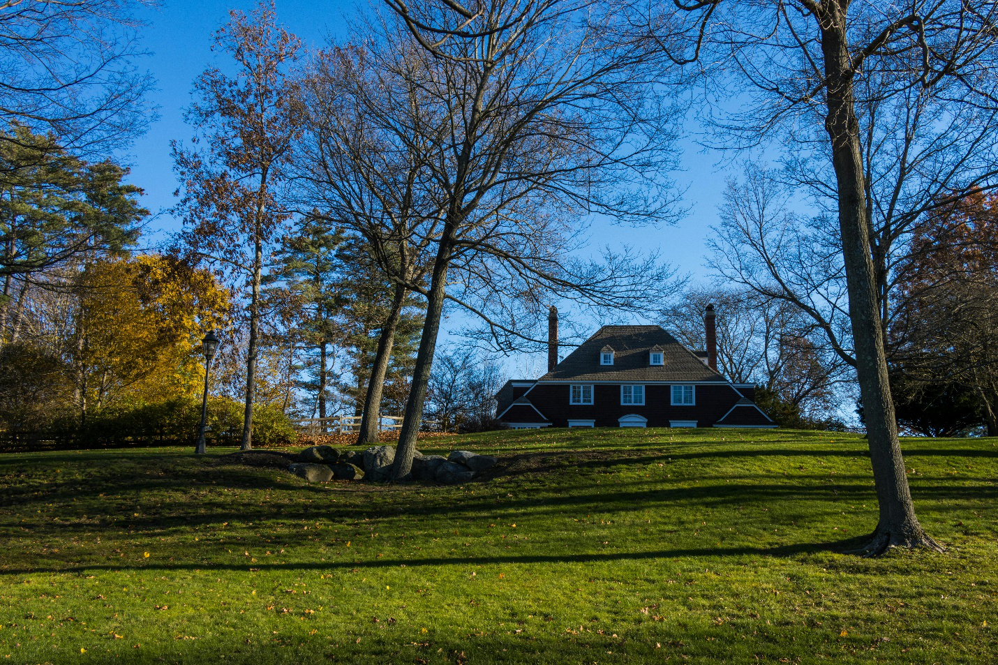 The difference between a struggling lawn and a thriving one is a consistent plan with Cut & Trim