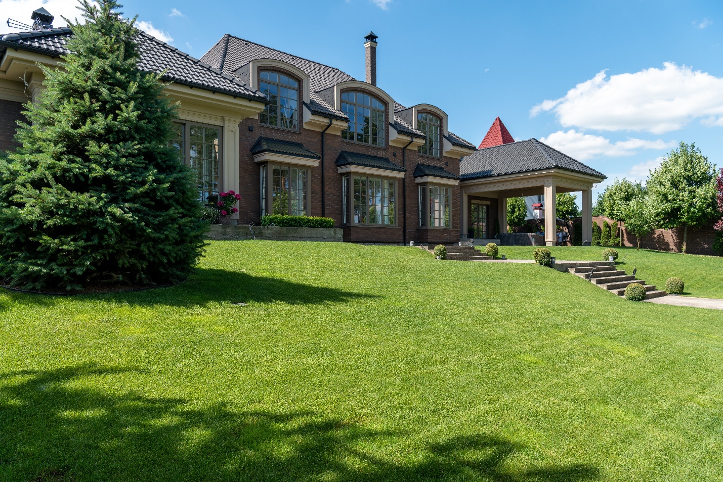 Cut and Trim gets the height right on every single visit.