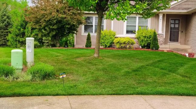  A front lawn beside a sidewalk with green utility boxes, trimmed shrubs, and a tree near a house.