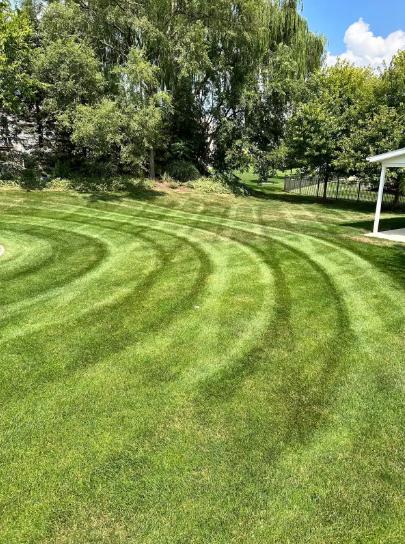  Gradual height changes from a lawn mowing service in Jenison, MI prevent scalping during the final fall cuts.