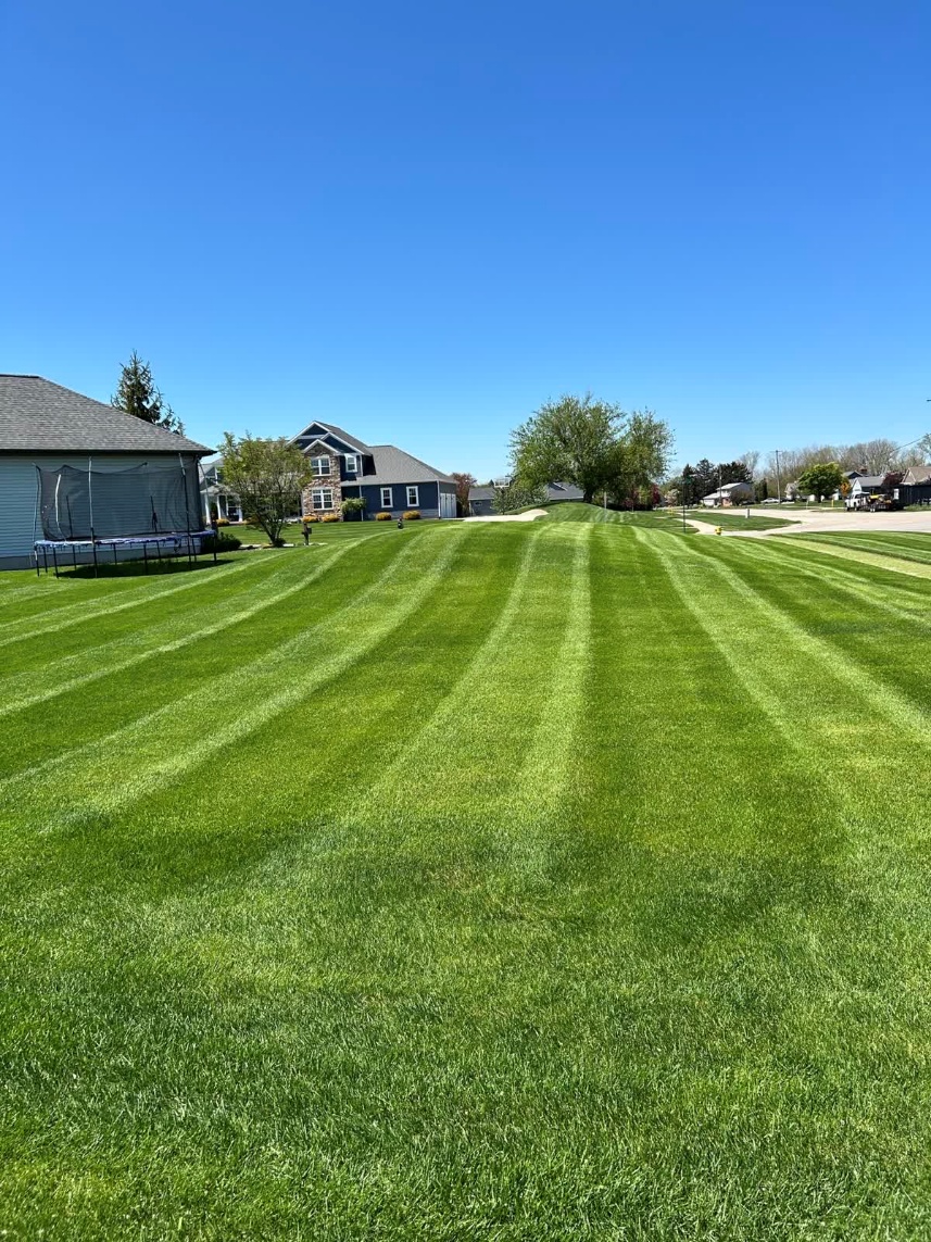 Regular mowing leaves the clean, even stripes that homeowners love.