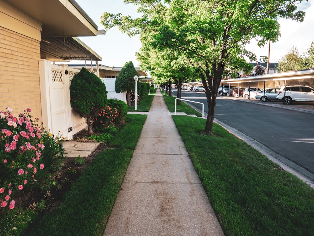 Crisp edges along walkways are a quick sign of steady care.