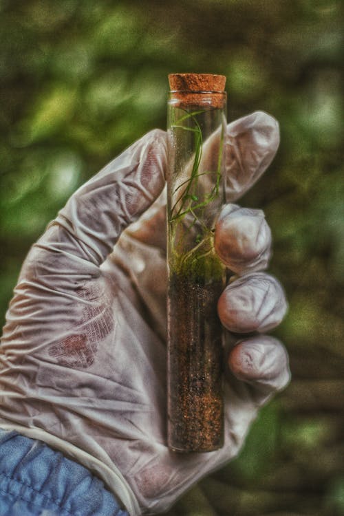 A soil sample can reveal problems that are invisible from above.