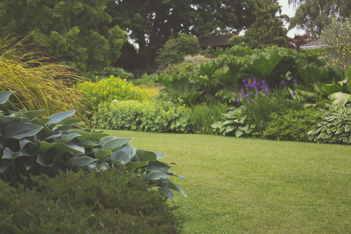 Layered beds and a clean lawn edge make a yard feel finished.