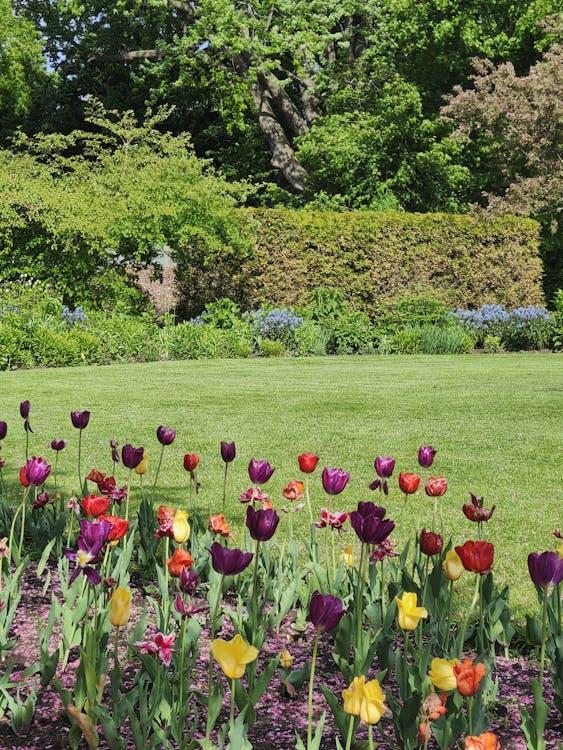Planting in beds gives the yard color that mowing alone cannot.